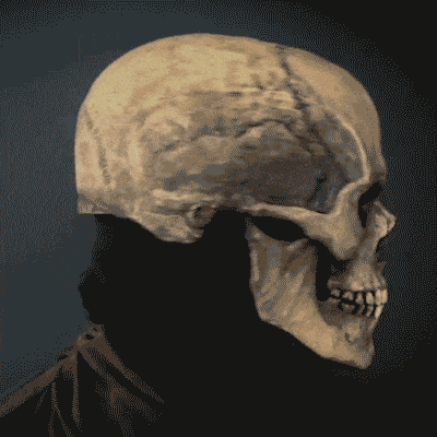 DarkBone™